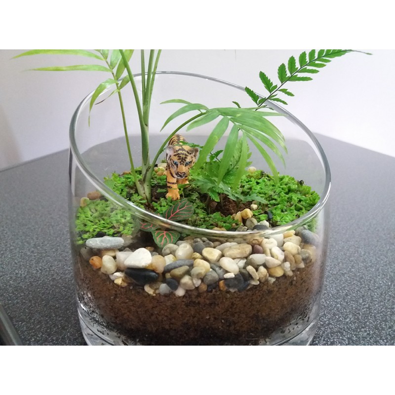 Terrarium jungle palmier fougère fittonia figurine tigre