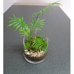 Terrarium jungle palmier fougère fittonia figurine tigre